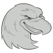 Eagle 1