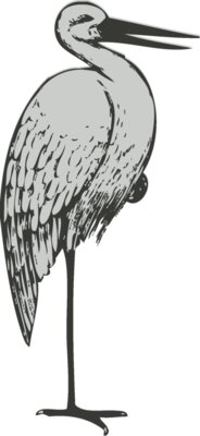 Bird   Stork 2