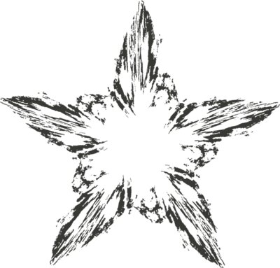 Charcoal Star 29