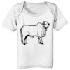 Infant Lap Shoulder Tee Thumbnail