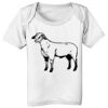 Infant Lap Shoulder Tee Thumbnail