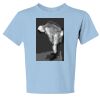 Youth Heavyweight Blend 50/50 Cotton/Poly T Shirt Thumbnail