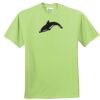 ComfortBlend® EcoSmart® 50/50 Cotton/Poly T Shirt Thumbnail