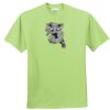 ComfortBlend® EcoSmart® 50/50 Cotton/Poly T Shirt Thumbnail