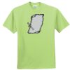 ComfortBlend® EcoSmart® 50/50 Cotton/Poly T Shirt Thumbnail