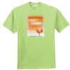 ComfortBlend® EcoSmart® 50/50 Cotton/Poly T Shirt Thumbnail