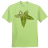 ComfortBlend® EcoSmart® 50/50 Cotton/Poly T Shirt Thumbnail