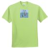 ComfortBlend® EcoSmart® 50/50 Cotton/Poly T Shirt Thumbnail