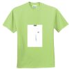 ComfortBlend® EcoSmart® 50/50 Cotton/Poly T Shirt Thumbnail