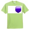 ComfortBlend® EcoSmart® 50/50 Cotton/Poly T Shirt Thumbnail