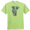 ComfortBlend® EcoSmart® 50/50 Cotton/Poly T Shirt Thumbnail