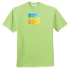 ComfortBlend® EcoSmart® 50/50 Cotton/Poly T Shirt Thumbnail