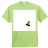 ComfortBlend® EcoSmart® 50/50 Cotton/Poly T Shirt Thumbnail