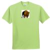 ComfortBlend® EcoSmart® 50/50 Cotton/Poly T Shirt Thumbnail