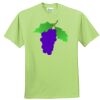 ComfortBlend® EcoSmart® 50/50 Cotton/Poly T Shirt Thumbnail