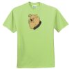 ComfortBlend® EcoSmart® 50/50 Cotton/Poly T Shirt Thumbnail