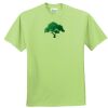 ComfortBlend® EcoSmart® 50/50 Cotton/Poly T Shirt Thumbnail