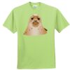 ComfortBlend® EcoSmart® 50/50 Cotton/Poly T Shirt Thumbnail