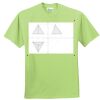 ComfortBlend® EcoSmart® 50/50 Cotton/Poly T Shirt Thumbnail