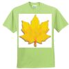 ComfortBlend® EcoSmart® 50/50 Cotton/Poly T Shirt Thumbnail