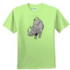 Youth Ultra Cotton™ 100% Cotton T Shirt Thumbnail