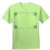 Youth Ultra Cotton™ 100% Cotton T Shirt Thumbnail