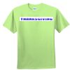 Youth Ultra Cotton™ 100% Cotton T Shirt Thumbnail