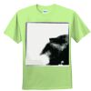 Youth Ultra Cotton™ 100% Cotton T Shirt Thumbnail