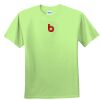 Youth Ultra Cotton™ 100% Cotton T Shirt Thumbnail