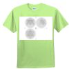 Youth Ultra Cotton™ 100% Cotton T Shirt Thumbnail