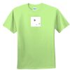 Youth Ultra Cotton™ 100% Cotton T Shirt Thumbnail