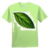 Youth Ultra Cotton™ 100% Cotton T Shirt Thumbnail