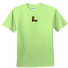 Youth Ultra Cotton™ 100% Cotton T Shirt Thumbnail