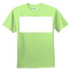 Youth Ultra Cotton™ 100% Cotton T Shirt Thumbnail