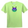 Youth Ultra Cotton™ 100% Cotton T Shirt Thumbnail