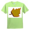 Youth Ultra Cotton™ 100% Cotton T Shirt Thumbnail