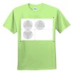 Youth Ultra Cotton™ 100% Cotton T Shirt Thumbnail