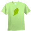 Youth Ultra Cotton™ 100% Cotton T Shirt Thumbnail