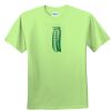 Youth Ultra Cotton™ 100% Cotton T Shirt Thumbnail