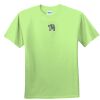 Youth Ultra Cotton™ 100% Cotton T Shirt Thumbnail