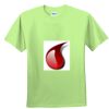 Youth Ultra Cotton™ 100% Cotton T Shirt Thumbnail