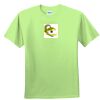 Youth Ultra Cotton™ 100% Cotton T Shirt Thumbnail