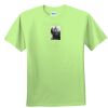 Youth Ultra Cotton™ 100% Cotton T Shirt Thumbnail