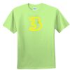 Youth Ultra Cotton™ 100% Cotton T Shirt Thumbnail