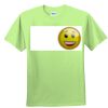 Youth Ultra Cotton™ 100% Cotton T Shirt Thumbnail