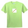 Youth Ultra Cotton™ 100% Cotton T Shirt Thumbnail