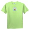 Youth Ultra Cotton™ 100% Cotton T Shirt Thumbnail